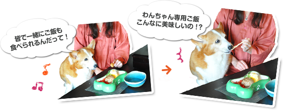 わんちゃんの食事