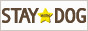 STAY WITH DOG